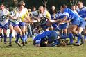Rugby 077